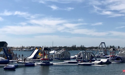 八个月宝宝可以吃柚子吗